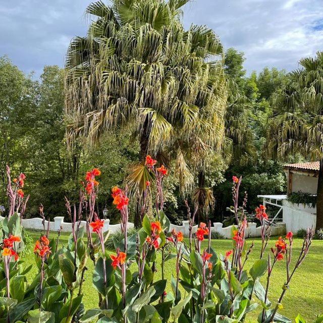 Casa Caballero Hotel Boutique 萨兰托 外观 照片
